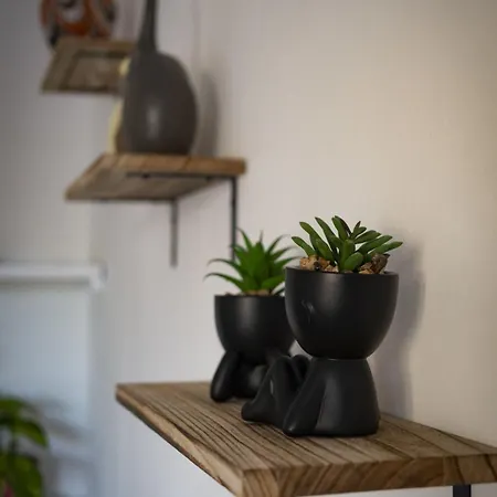 The Roma Flat Apartment *